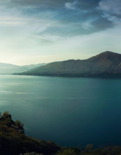 Photo by Nick West on Unsplash