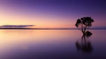 Calm Lake Nature Image