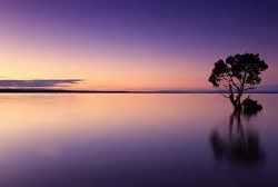 Calm Lake Nature Image