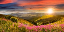 Faith Mountain Sunrise Meadow